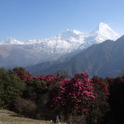 Ghorepani