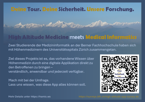 Survey - Flyer (de)