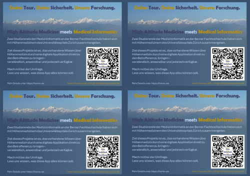 Survey - Flyer 4x.pdf (de)